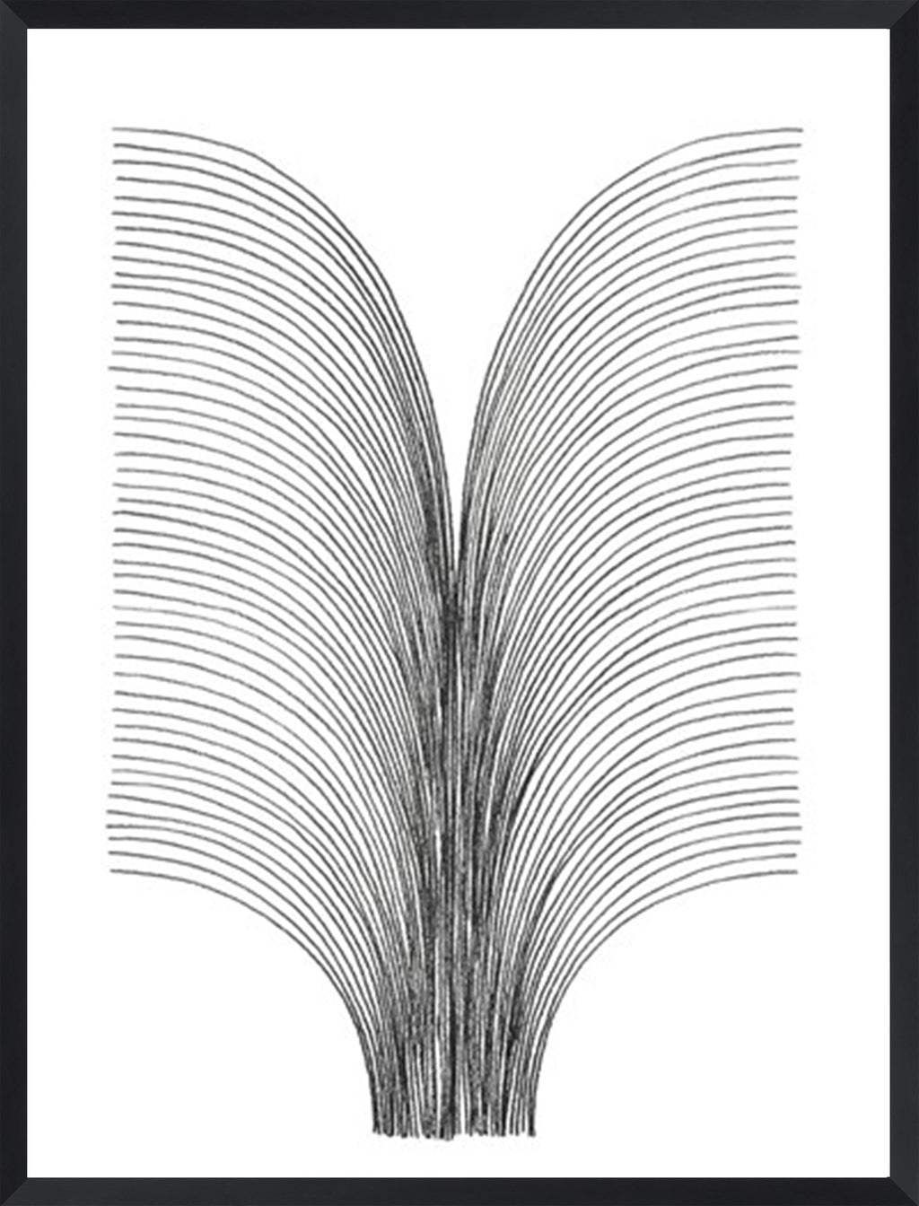 LINEAR ACOUSTIC SURGE