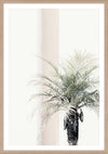 PALM TREE