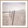 BEACH FENCE I